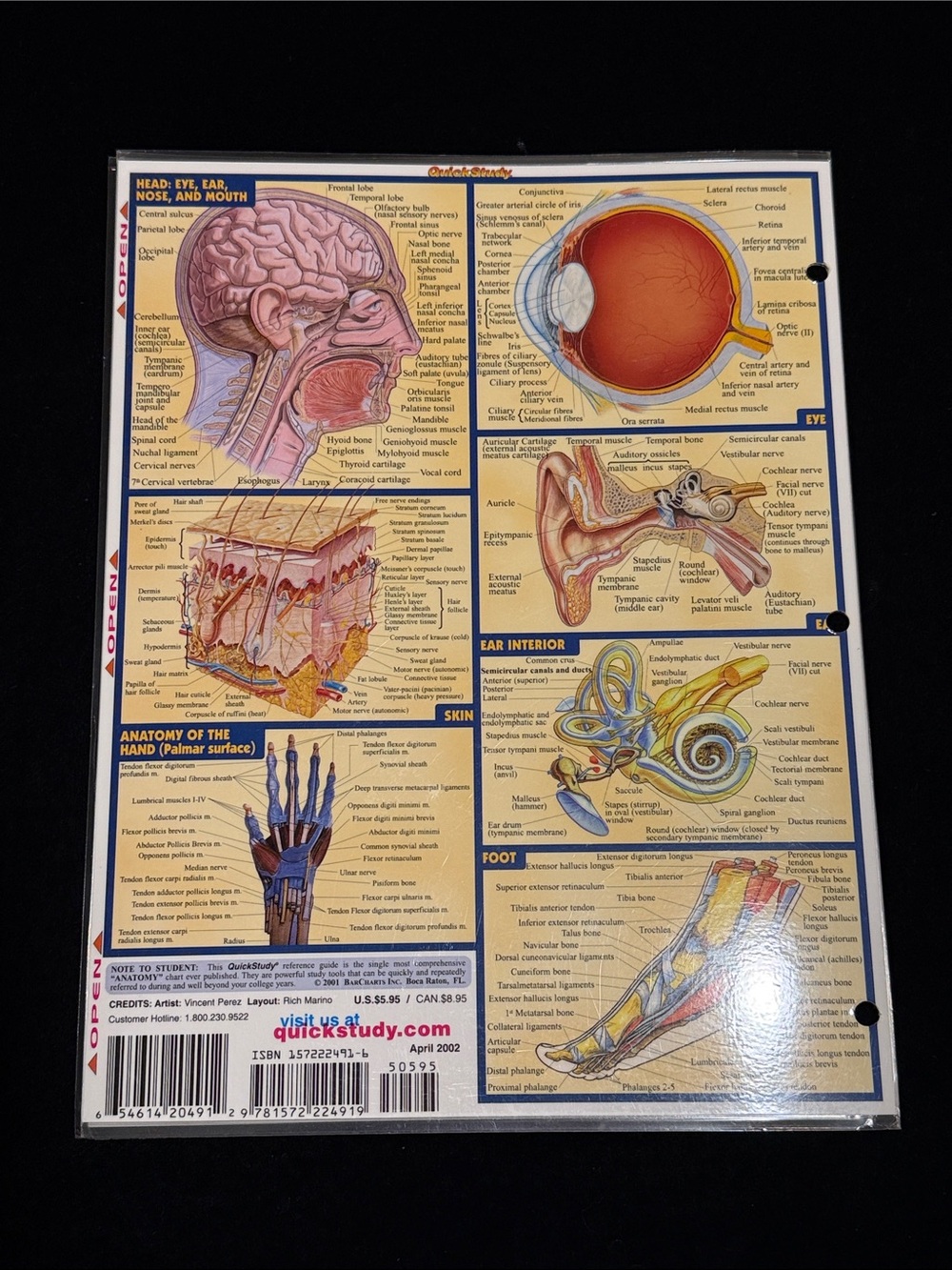 Bar charts, Inc Anatomy Chart and Biology Chart Quick Study Guides - Picture 2 of 6